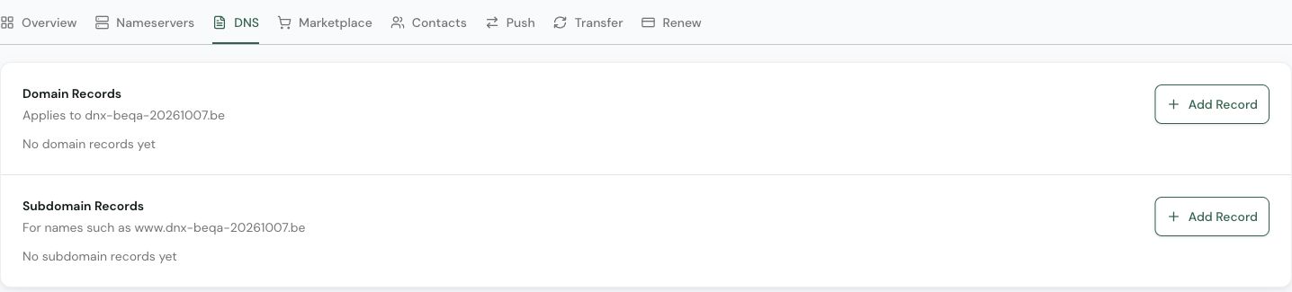 DNS tab with separate Domain records and Subdomain records sections