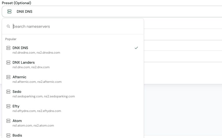 DNX DNS, DNX Landers and other providers in the nameserver preset menu