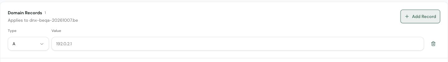 A new DNS record row with a type selector and IPv4 address field