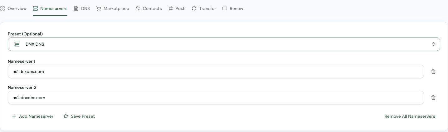 Nameservers tab with a preset picker and two nameserver fields